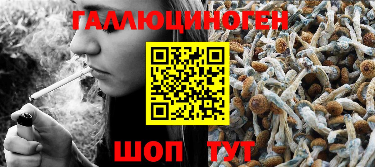 Псилоцибиновые грибы Cubensis  Вход с VPN  Калуга  Галлюциногенные грибы Cubensis 