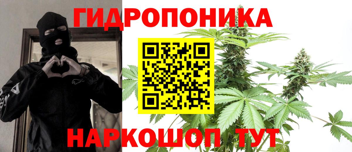 МАРИХУАНА гибрид Калуга